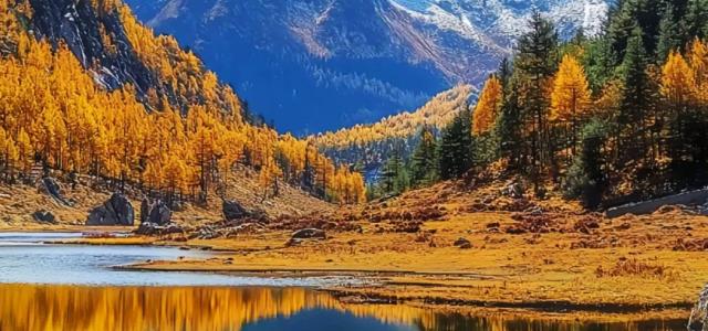 【环四姑娘山】毕棚沟-四姑娘山-穿越理小路-古尔沟温泉4日自驾