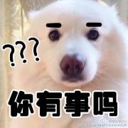 窝窝voli
