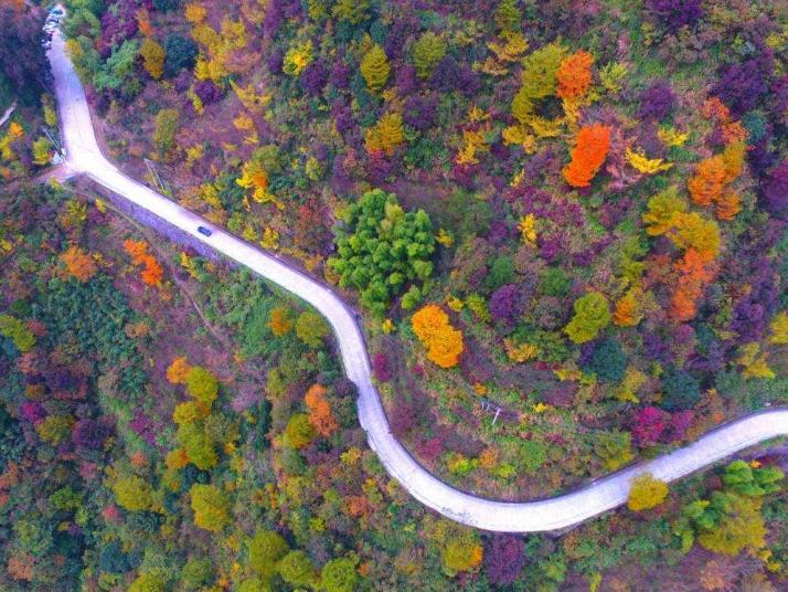 余姚四明山盘山公路图片