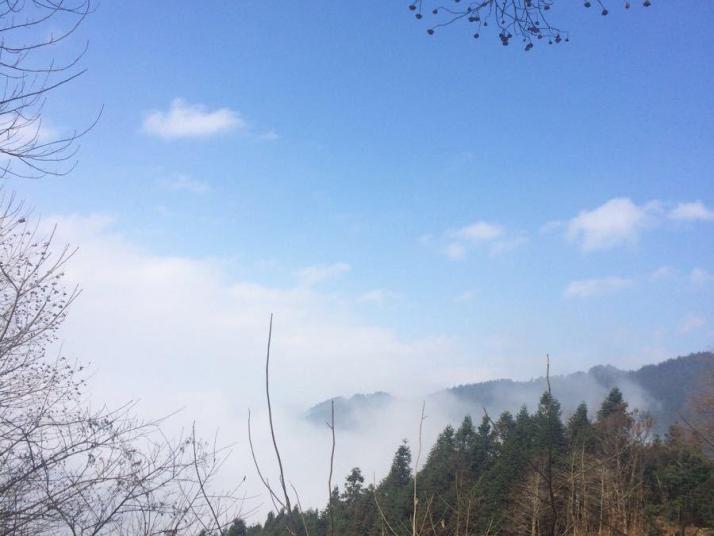 洪江雪峰山国家森林公园好玩吗