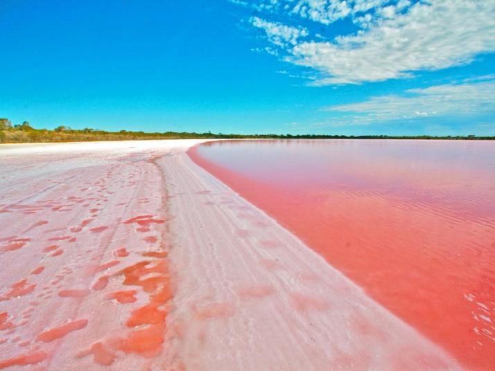 南澳大利亚州阿德莱德粉红湖
