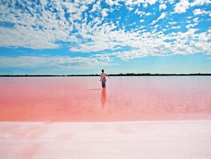 南澳大利亚州阿德莱德粉红湖好玩吗