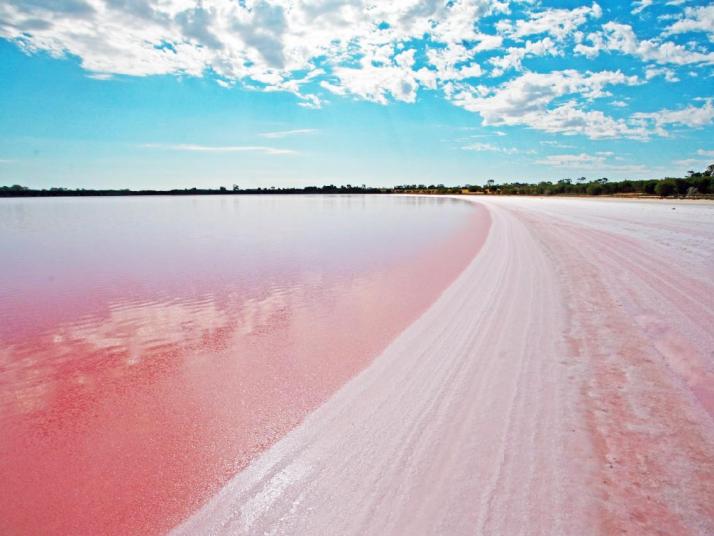 南澳大利亚州阿德莱德粉红湖图片