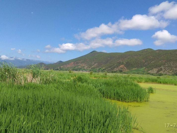 宁蒗泸沽湖草海景区好玩吗