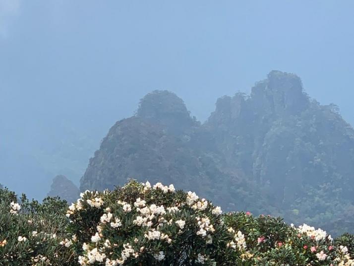金秀圣堂山