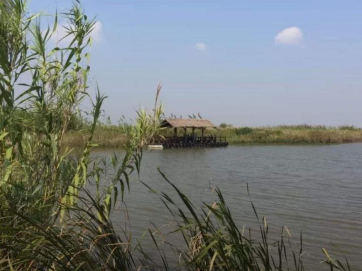 杭州杭州湾湿地公园
