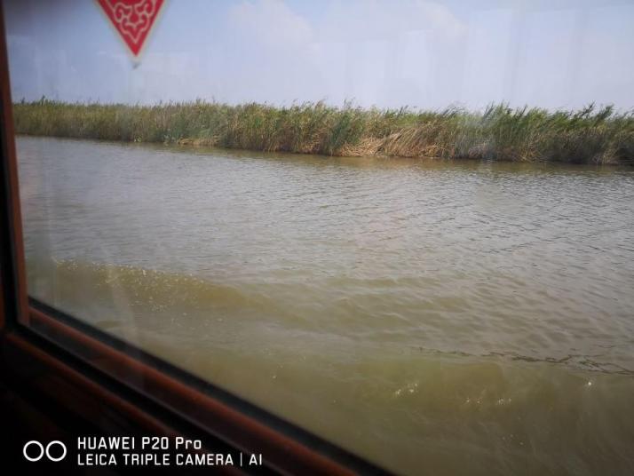 杭州杭州湾湿地公园好玩吗