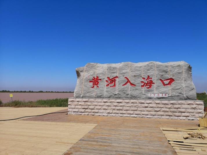 东营黄河入海口