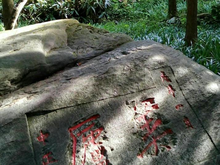 九江美庐别墅