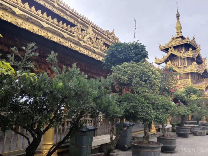 芒市勐巴娜西珍奇园图片