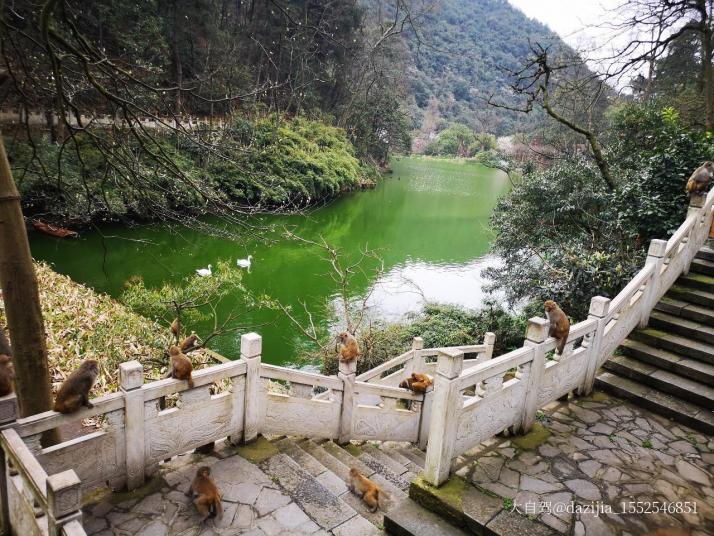 贵阳黔灵山公园图片