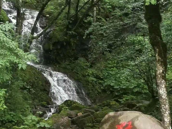 神农架金猴岭
