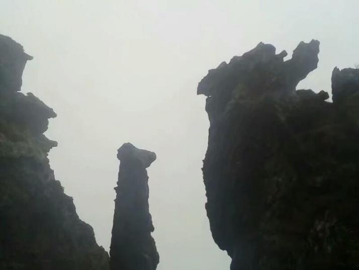 神农架神农顶风景区好玩吗