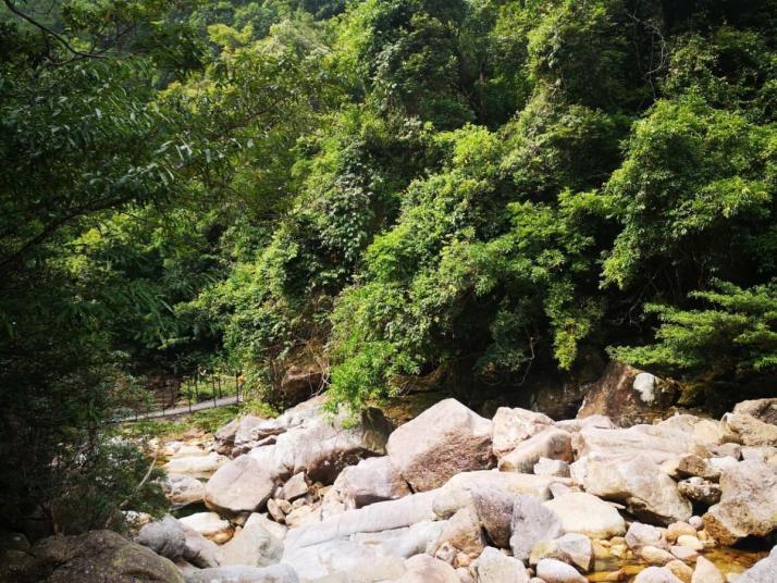 上思十万大山国家森林公园图片