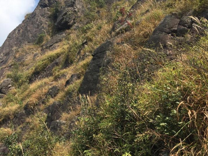 连山金子山景区好玩吗
