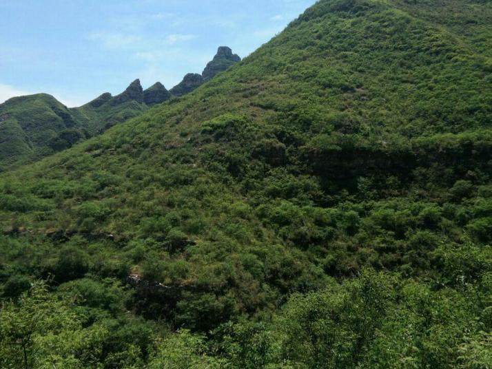 唐县全胜峡图片