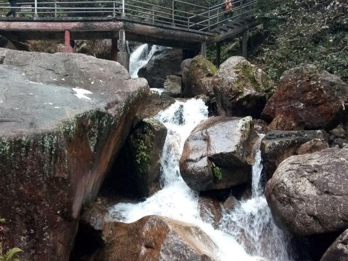 宜章莽山猴王寨景区好玩吗