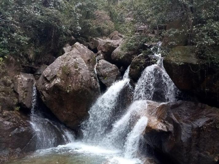 宜章莽山猴王寨景区图片