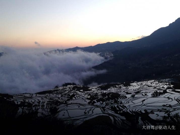 元阳元阳多依树景区图片
