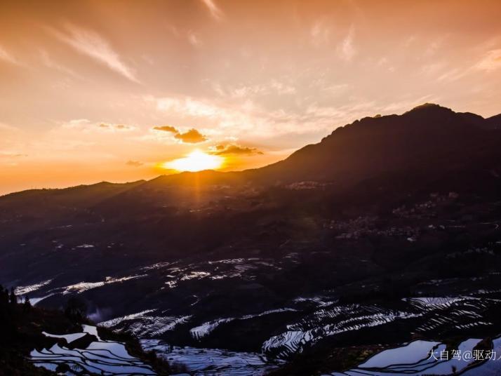 元阳元阳多依树景区