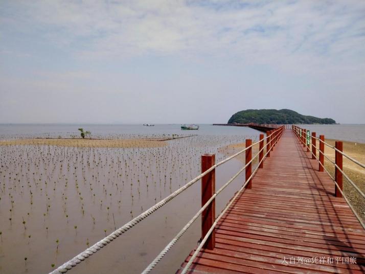 阳江海陵岛红树林国家湿地公园图片