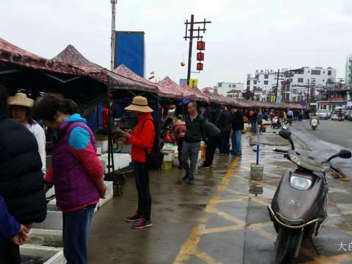 琼海潭门中心渔港图片
