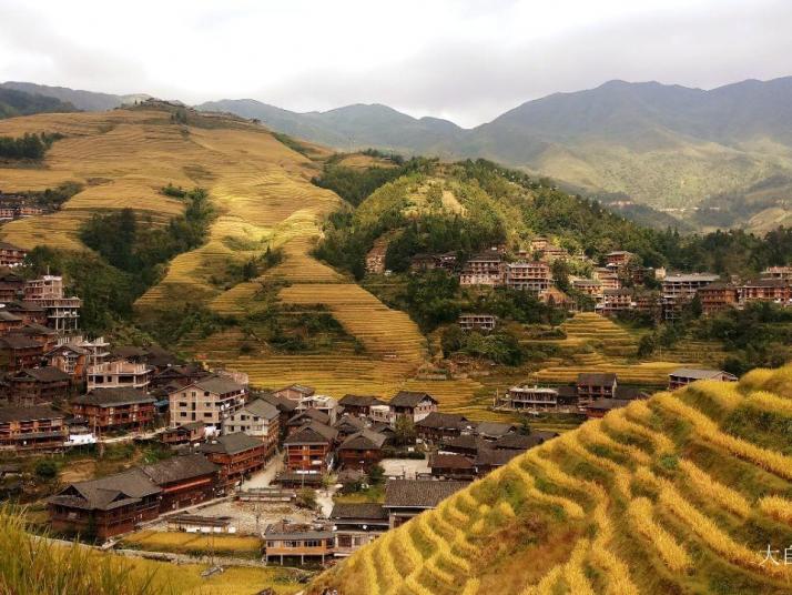 龙胜龙脊金坑梯田图片