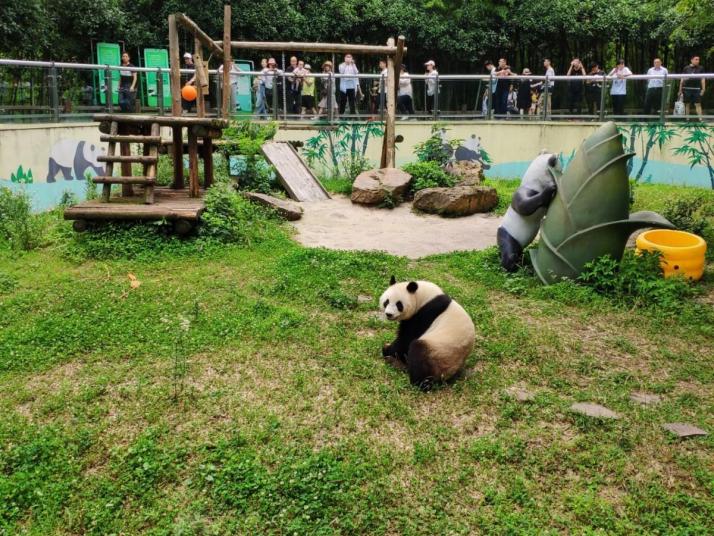 溧阳天目湖南山竹海好玩吗