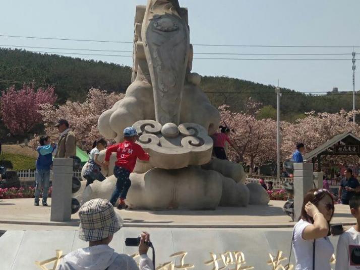 旅顺猴石山203高地
