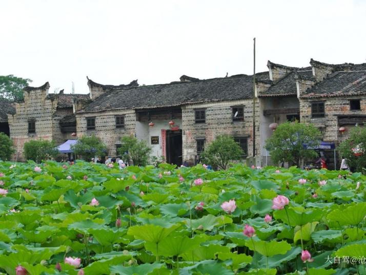资兴流华湾古村图片