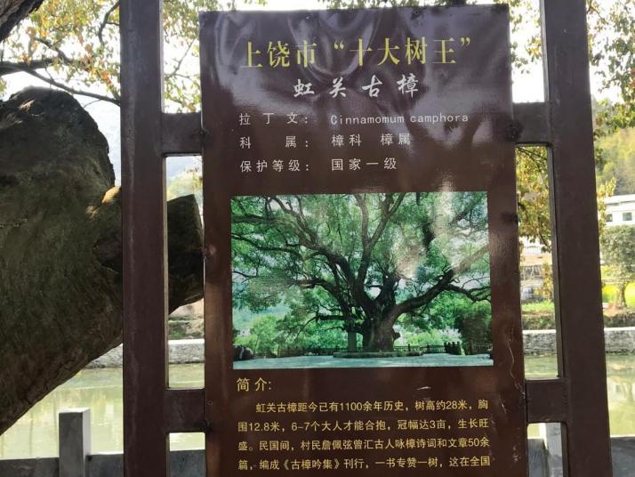 婺源虹关村