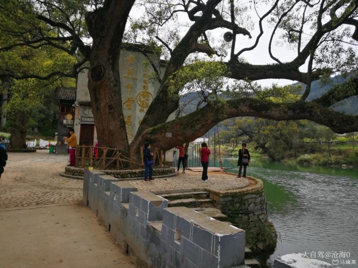 婺源上坦村图片