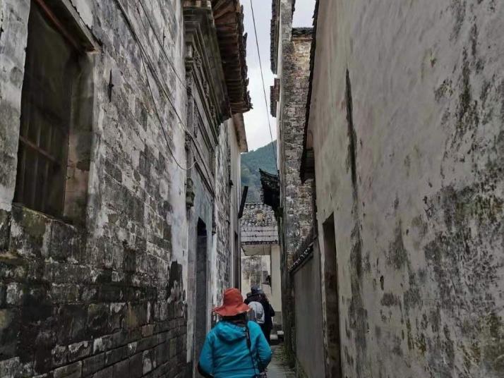 婺源龙尾村图片