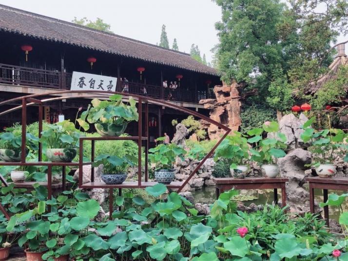 扬州个园图片