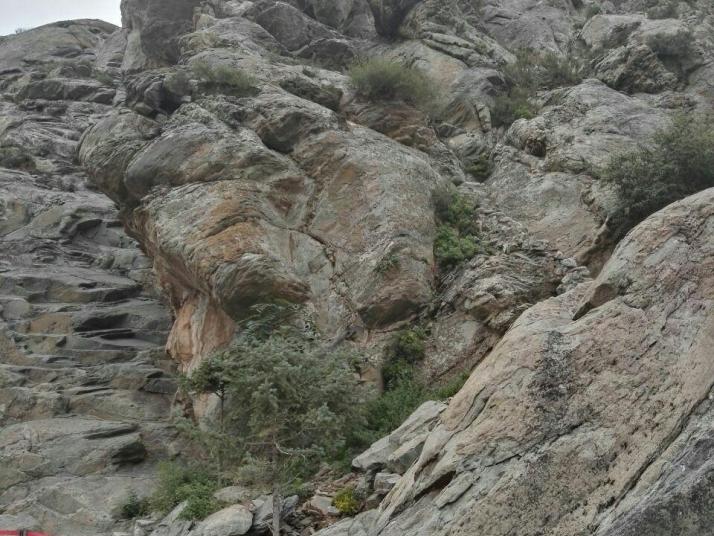 贺兰贺兰山岩画遗址公园图片