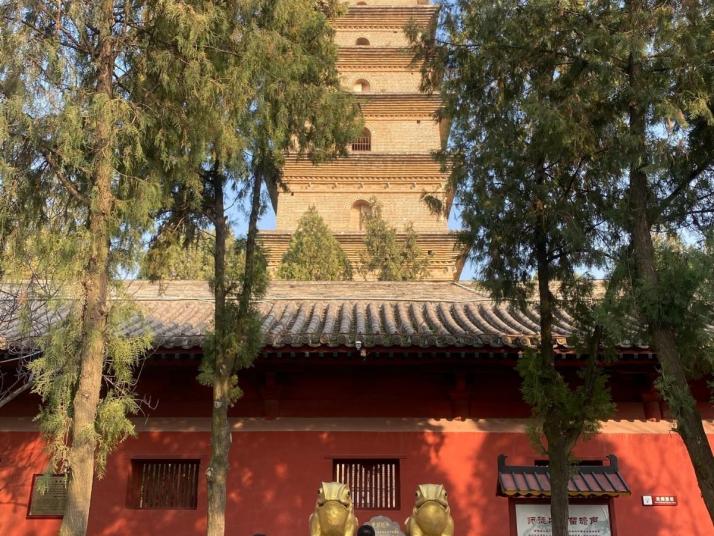 永济普救寺莺莺塔好玩吗