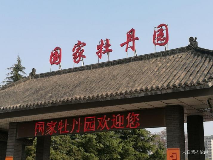 洛阳国家牡丹园