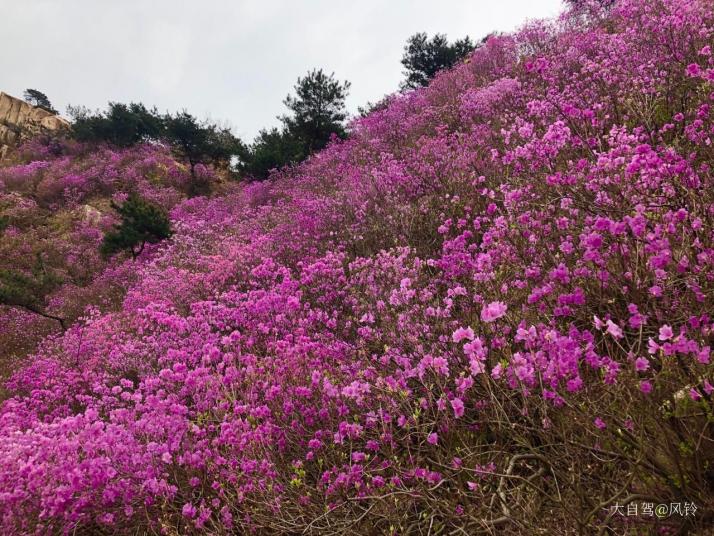 青岛大珠山风景区好玩吗