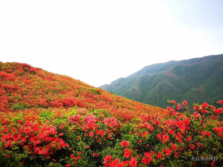 浏阳大围山国家森林公园