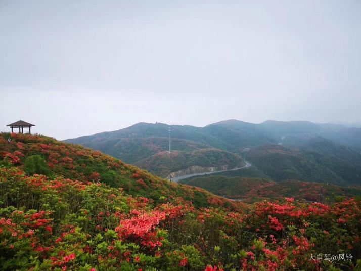 浏阳大围山国家森林公园好玩吗