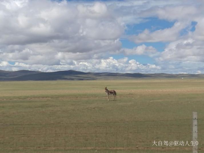 玛多黄河源
