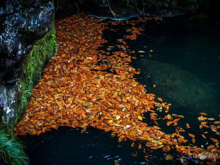 雅安龙苍沟叠翠溪景区图片