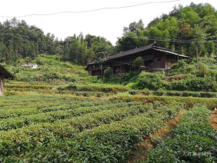 安化茶马古道风景区图片