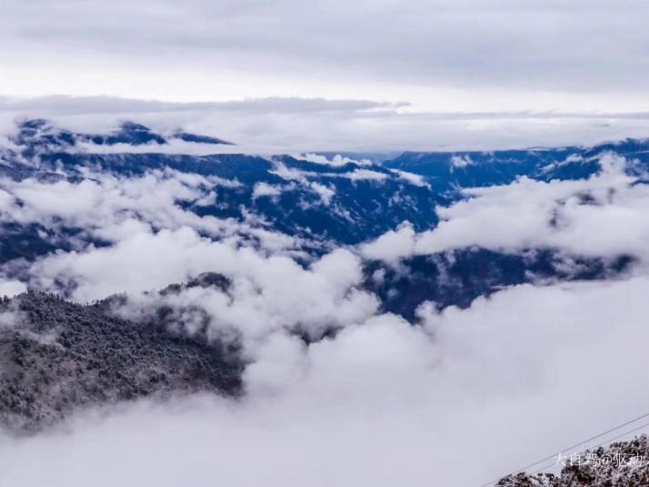 雅安二郎山喇叭河图片