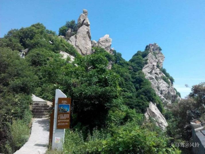 蓝田王顺山国家森林公园图片
