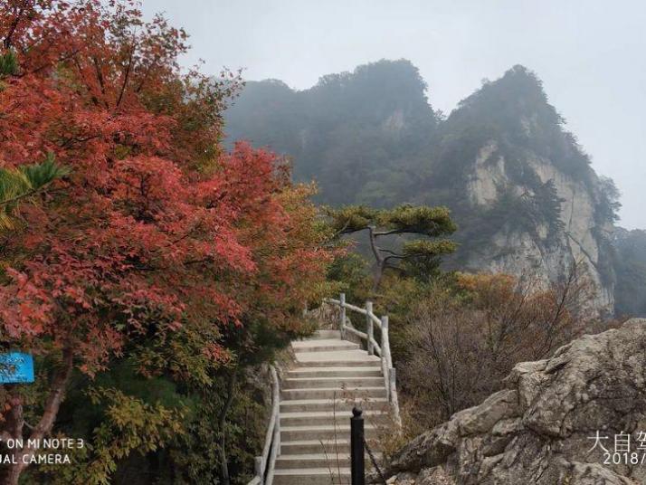 蓝田王顺山国家森林公园