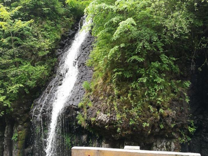 白山望天鹅火山国家地质公园好玩吗