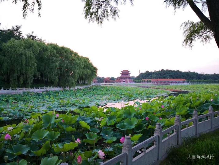 秦皇岛新南戴河国际娱乐中心