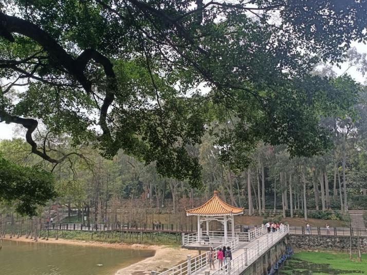 广州白云山好玩吗