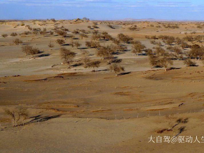 锡林郭勒浑善达克沙地图片